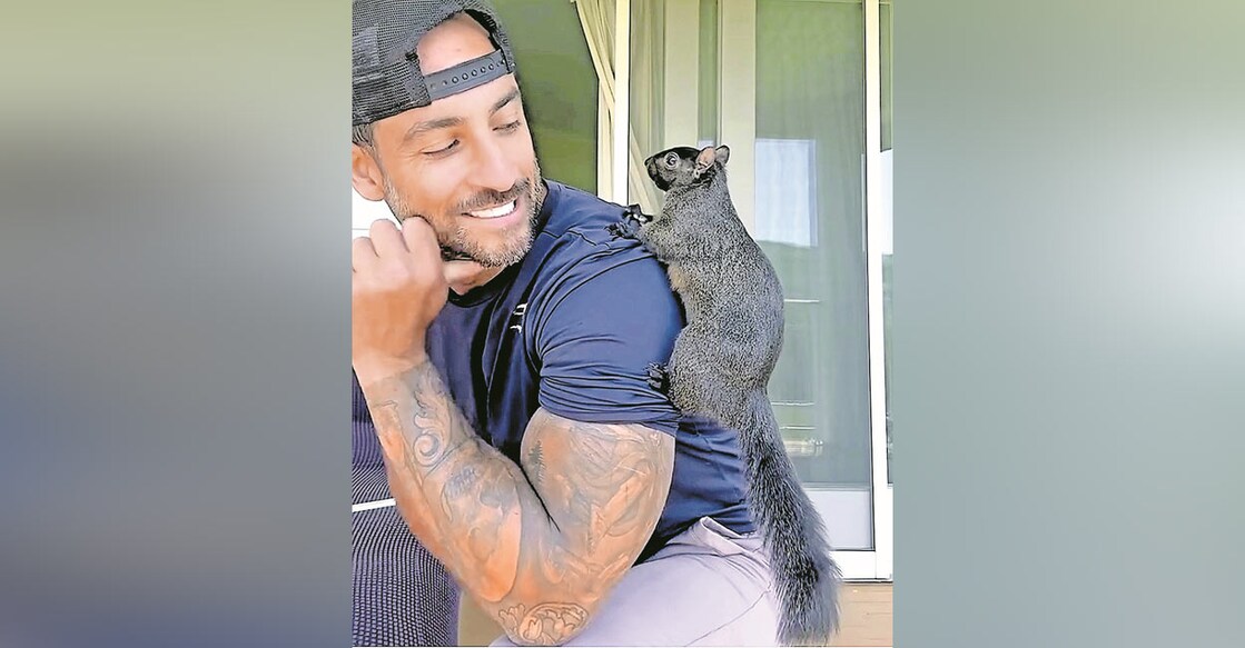 internet-star-peanut-squirrel-euthanized internet-star-peanut-squirrel-euthanized