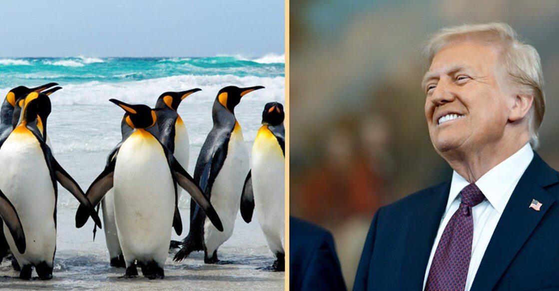 trump-imposed-10-percentage-tariffs-on-isolated-island-heard-and-mcdonald പെൻഗ്വിനുകൾ. Image Credit : Image Credit: BenGoode /Istockphoto.com
ഡോണൾഡ് ട്രംപ്. Image Credit : X/ @WhiteHouse