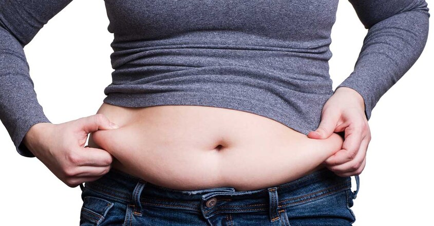 belly fat belly fat