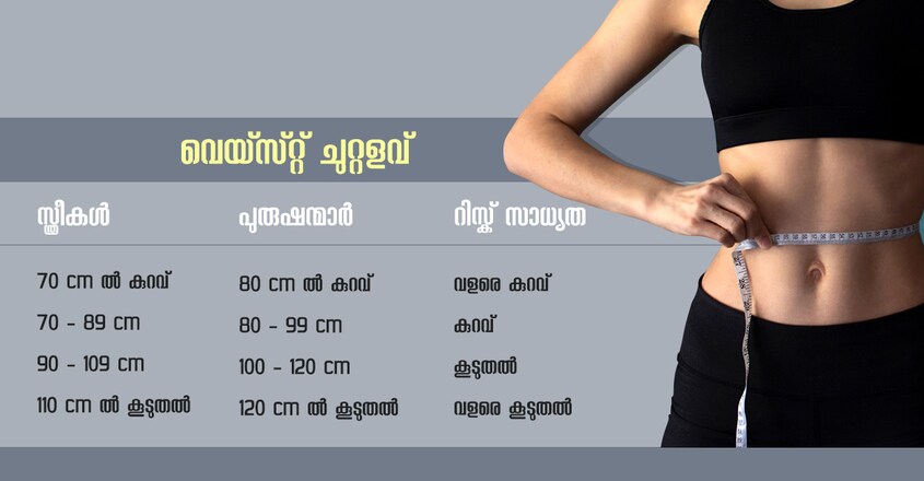 waist-2 waist-2