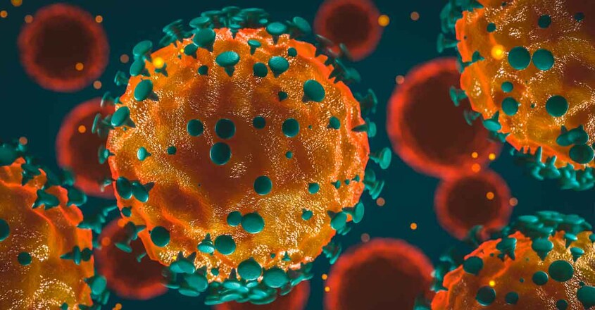coronavirus coronavirus