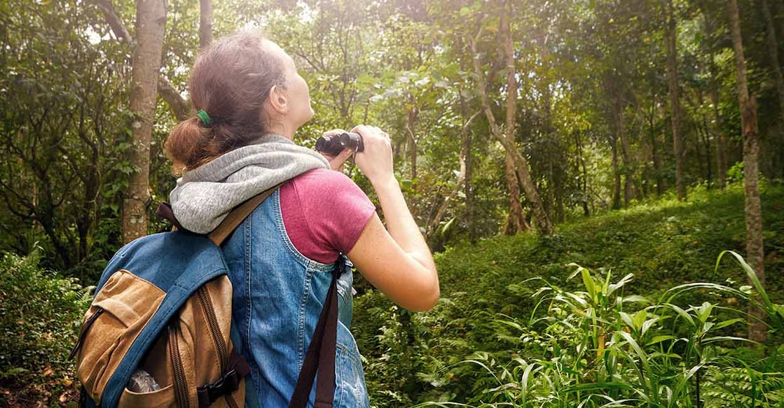 bird-watching-soft_light-shutterstock