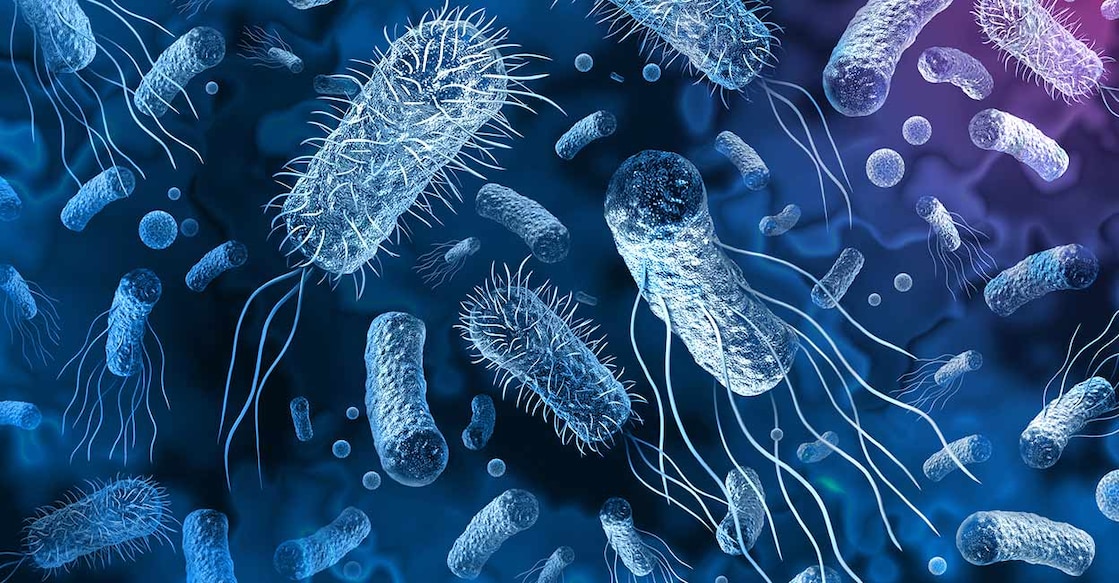 
Representative image. Photo Credit: wildpixel/istockphoto.com