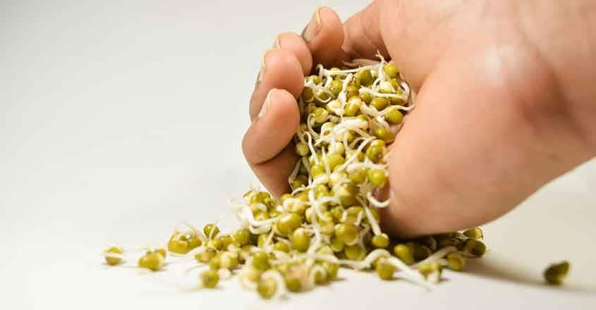sprouted green gram sprouted green gram