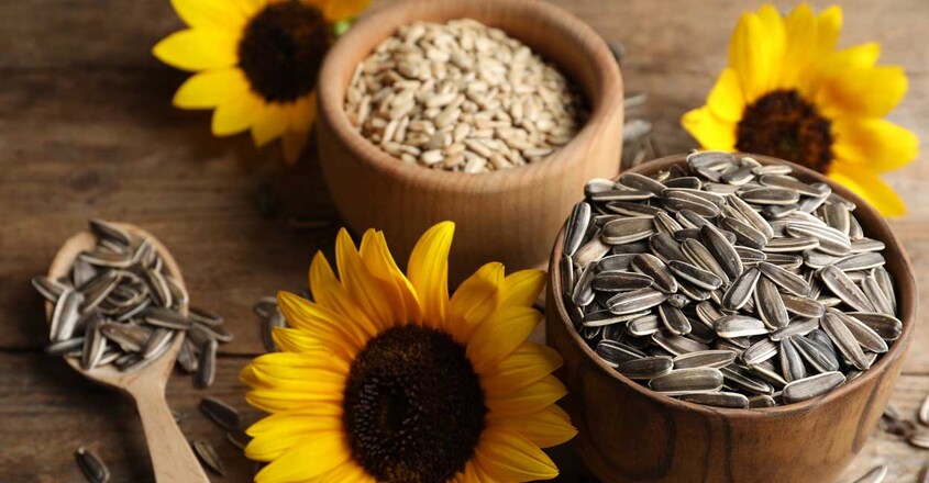 sunflower-seed sunflower-seed