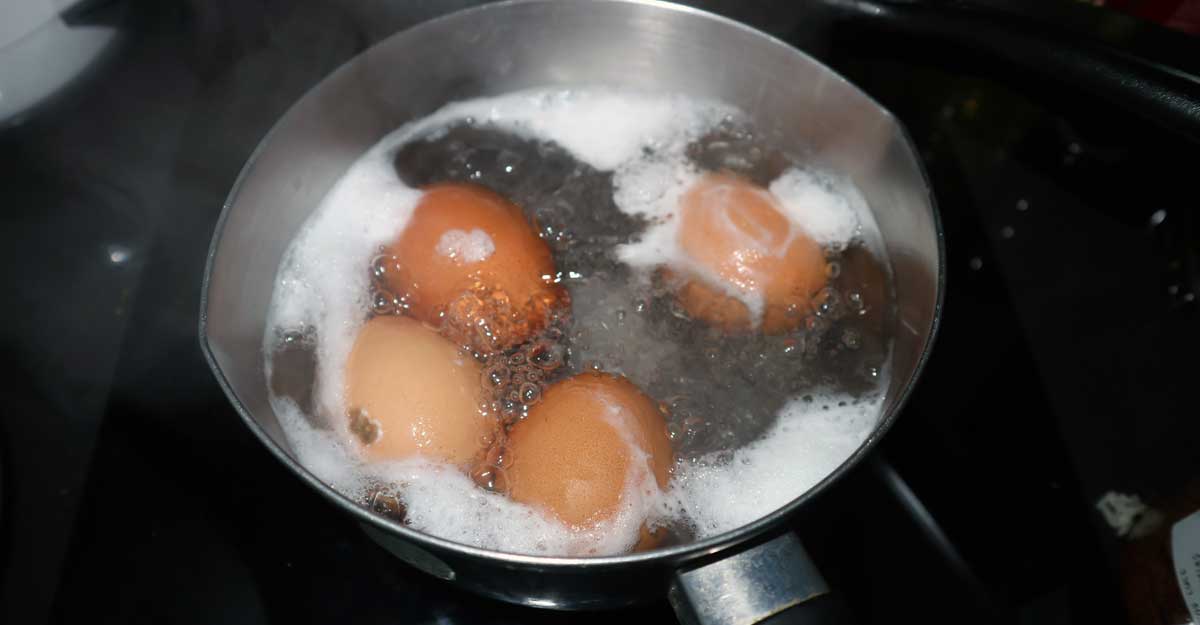 മുട്ട പുഴുങ്ങുമ്പോൾ കൂടുതൽ നേരം വേവിച്ചാൽ സംഭവിക്കുന്നത്? Egg Egg