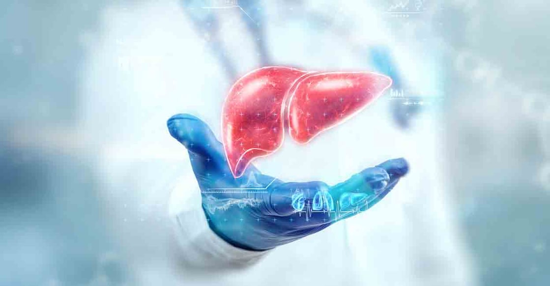 liver liver