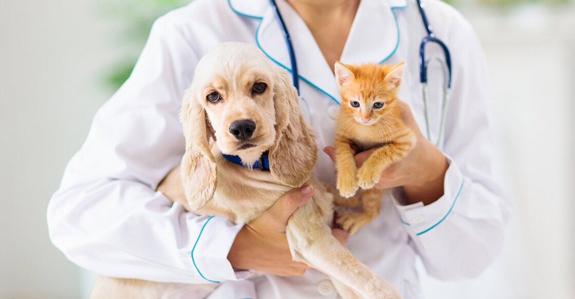 pets-doctor-FamVeld-istockphoto