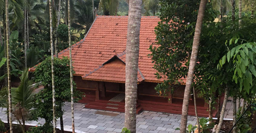 traditional-home-plan-yard traditional-home-plan-yard