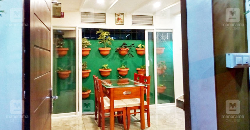 half-cent-home-vertical-garden half-cent-home-vertical-garden