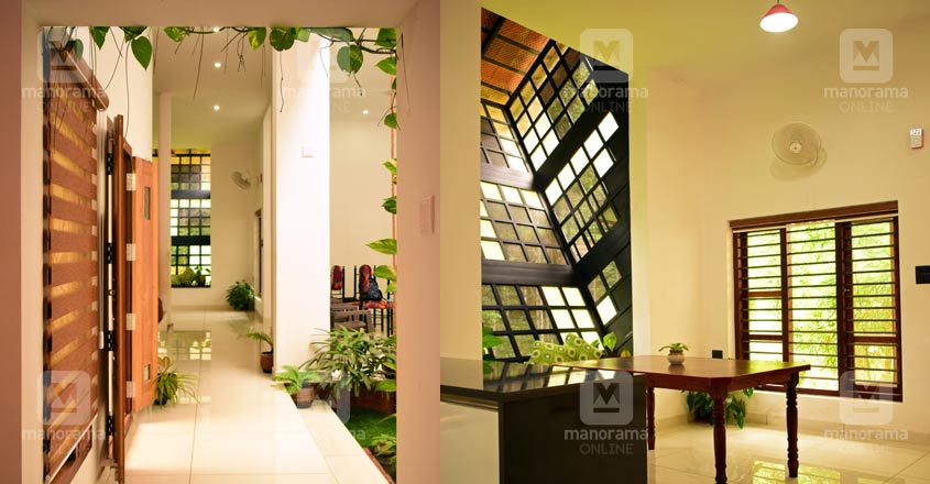 tropical-house-kannur-dine tropical-house-kannur-dine