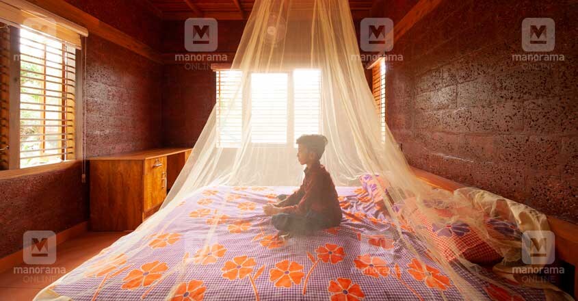 kasargod-cool-home-bed kasargod-cool-home-bed