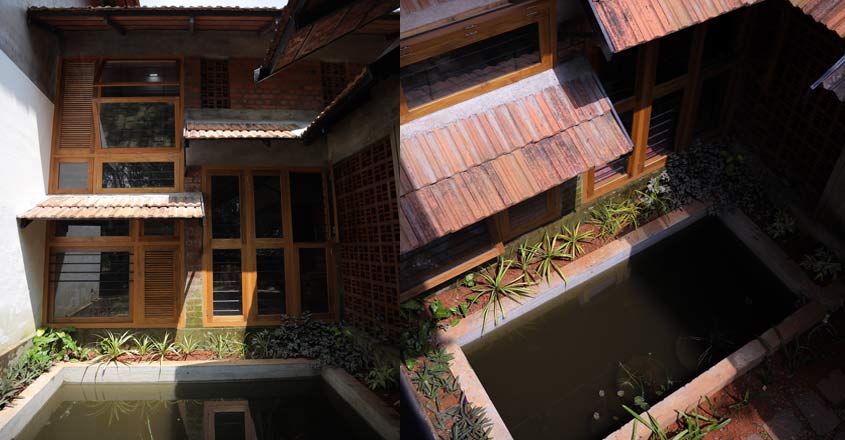 eco-house-pool eco-house-pool