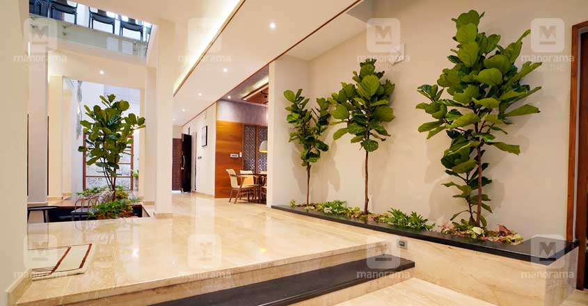 green-home-malappuram-courtyard green-home-malappuram-courtyard