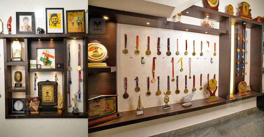 jinson-medal-shelf-house jinson-medal-shelf-house