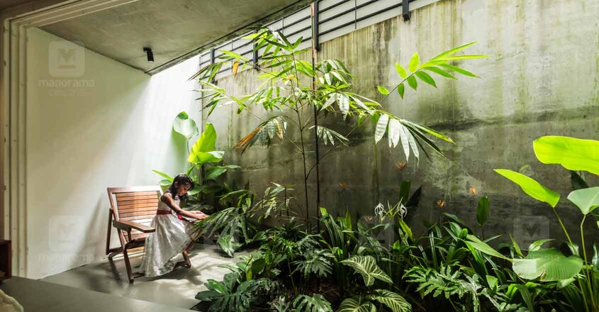 eco-home-kottayam-court eco-home-kottayam-court