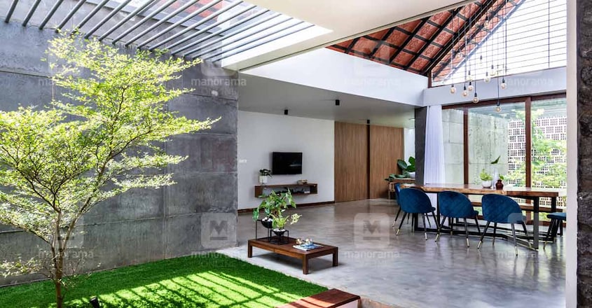 architect-own-home-plant architect-own-home-plant