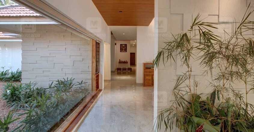 tropical-home-glass tropical-home-glass