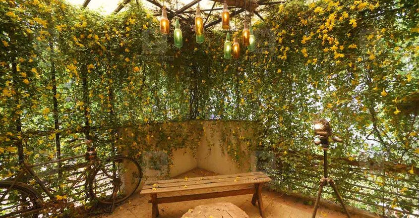 green-home-balcony green-home-balcony