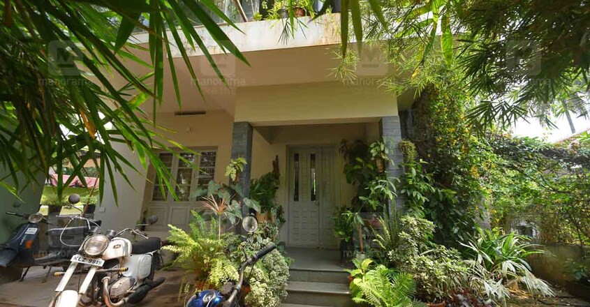 green-home-front green-home-front