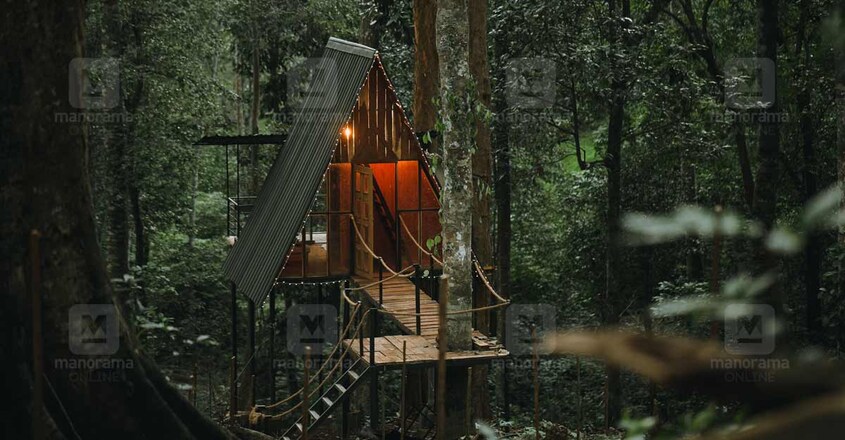 wildvibes-wayanad-view wildvibes-wayanad-view