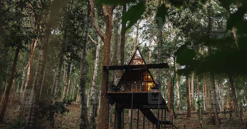 wildvibes-wayanad wildvibes-wayanad