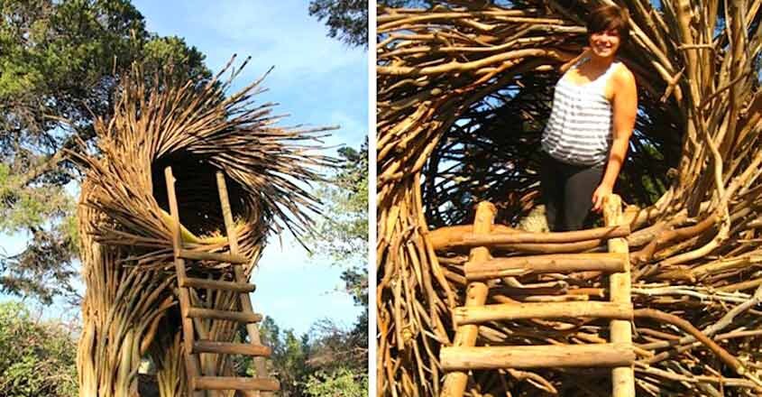 jayson-nest-home jayson-nest-home