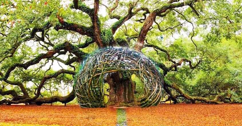 nest-for-humans nest-for-humans