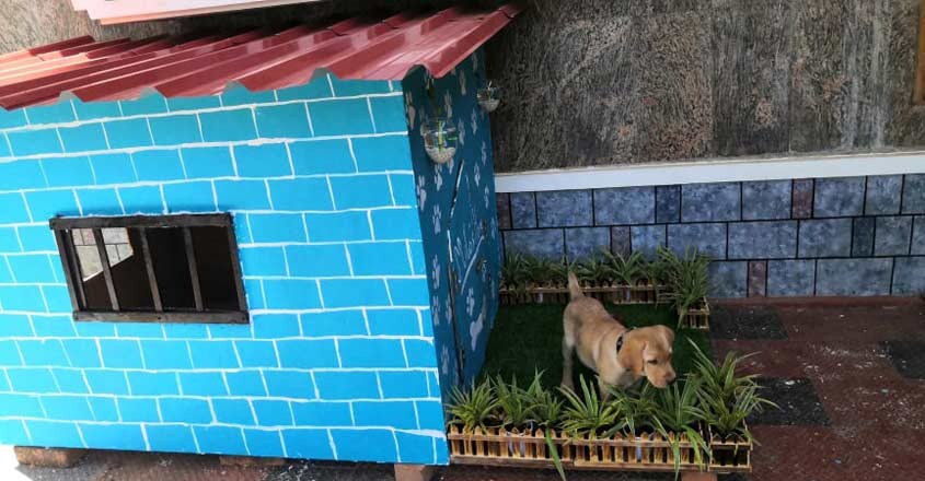 milo-dog-house milo-dog-house