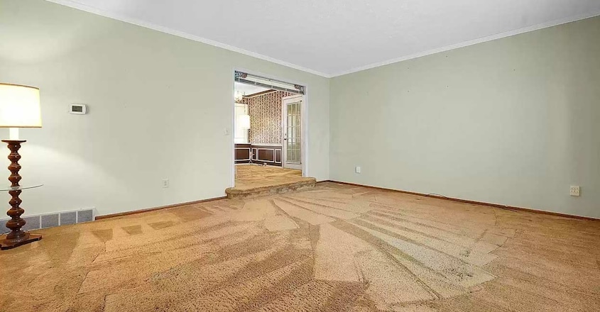 carpet-house-interiors carpet-house-interiors