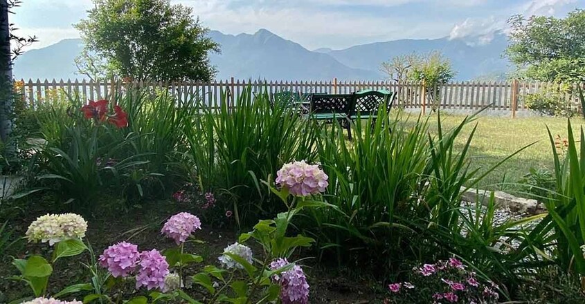 green-homestay-view green-homestay-view