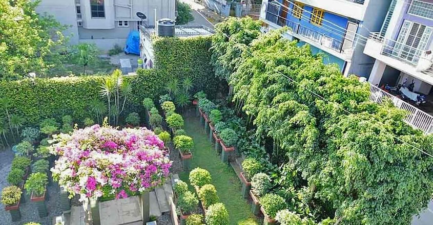 eco-house-bengaluru-garden eco-house-bengaluru-garden