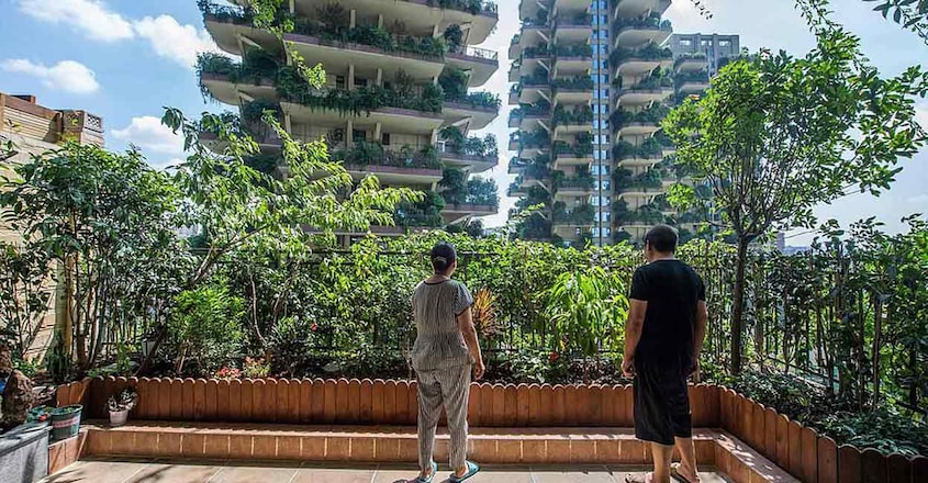 vertical-forest-china-residents vertical-forest-china-residents