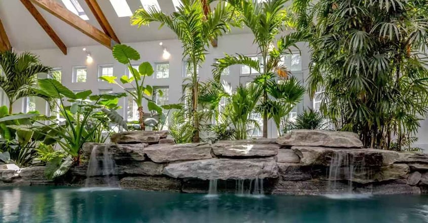 fossil-raffle-house-swim fossil-raffle-house-swim