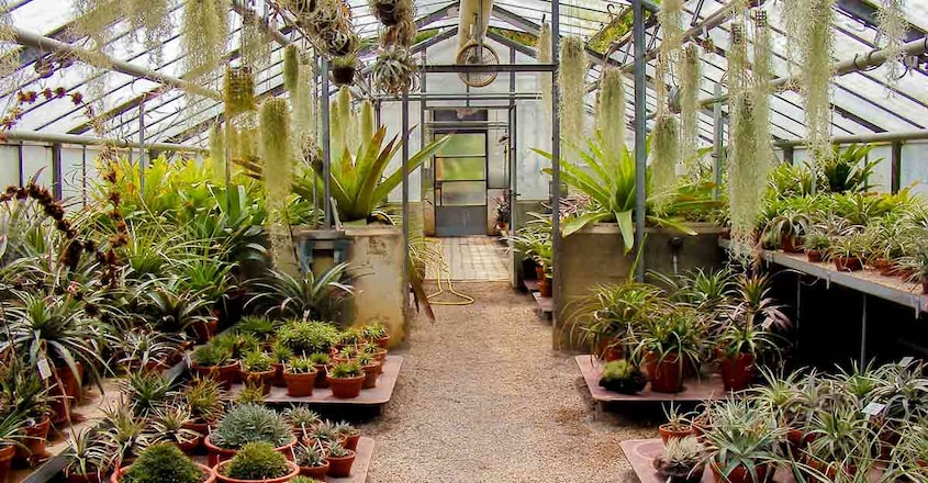 garden-busines garden-busines