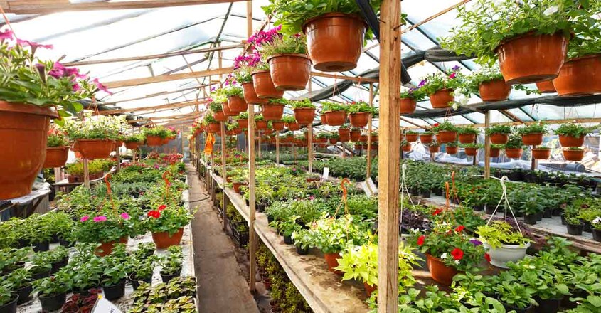 gardening-business gardening-business