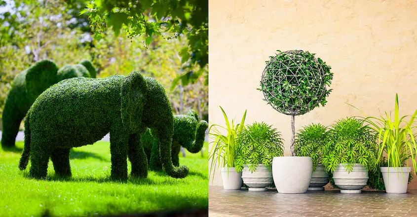 topiary-home-garden topiary-home-garden