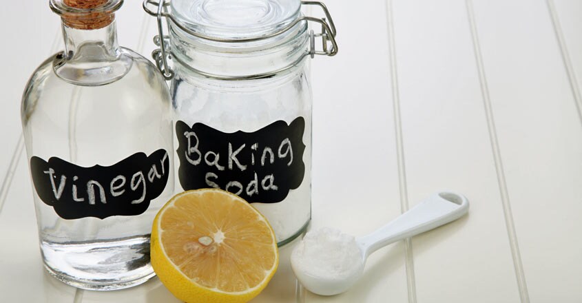 lemon-vinegar lemon-vinegar