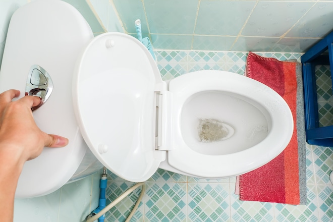 toilet-flushing toilet-flushing