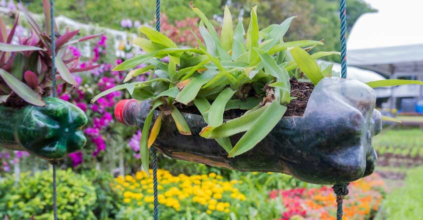 bottle-plant-pot bottle-plant-pot