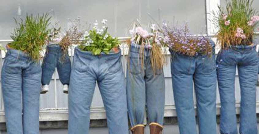 jeans-gardens jeans-gardens