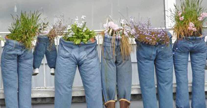 jeans-gardens jeans-gardens