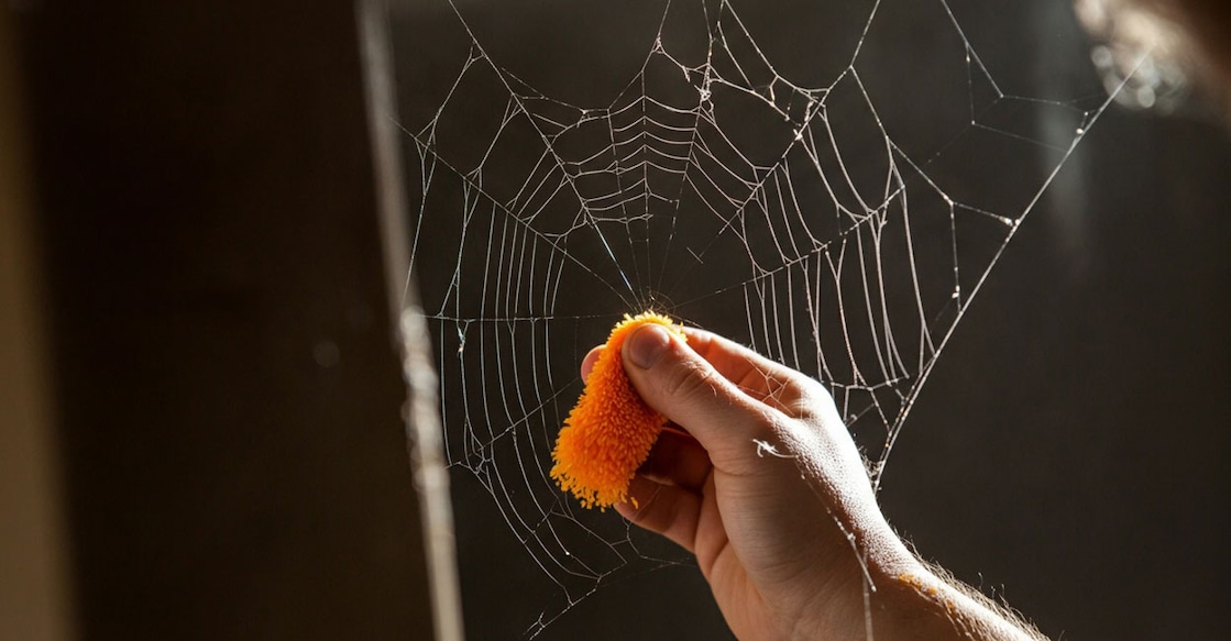 cob-web-cleaning cob-web-cleaning