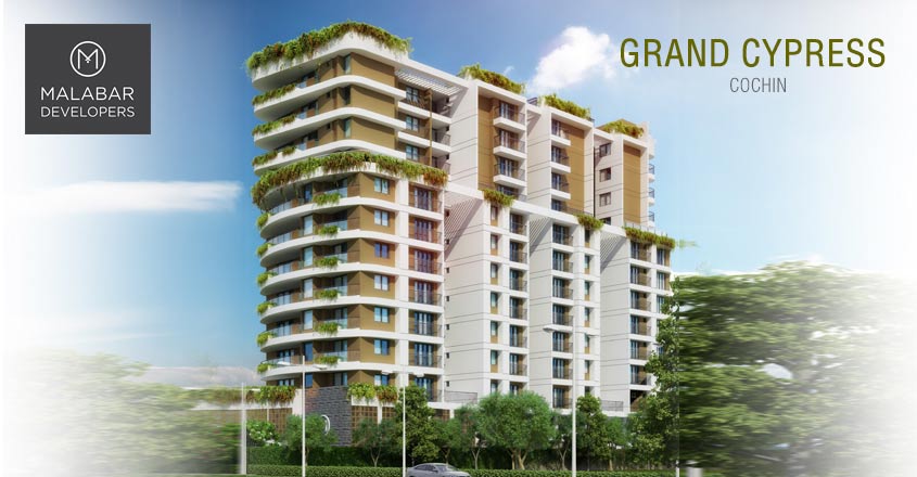 grand-cypress grand-cypress