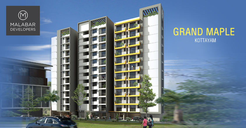 grand-maple grand-maple