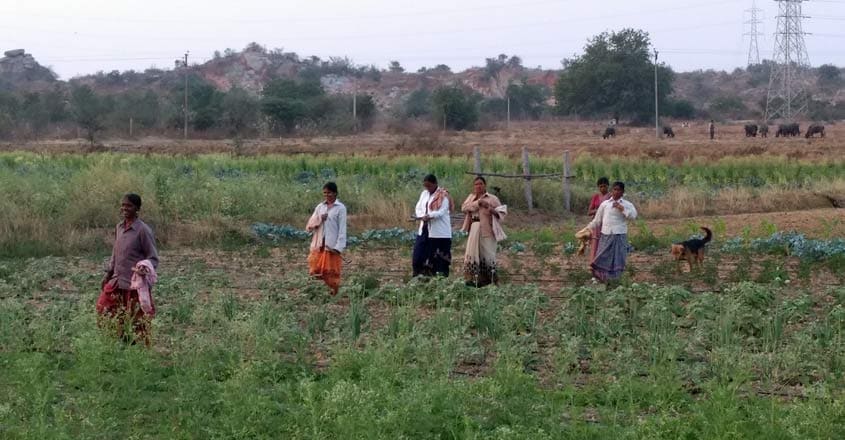 govardhan-farm-view govardhan-farm-view
