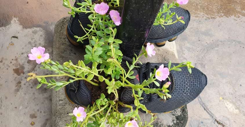 usha-shoe-garden usha-shoe-garden