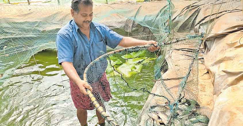 farm-house-fish farm-house-fish