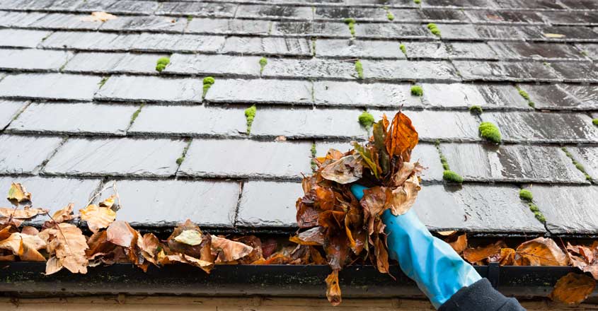 roof-cleaning-gutter roof-cleaning-gutter