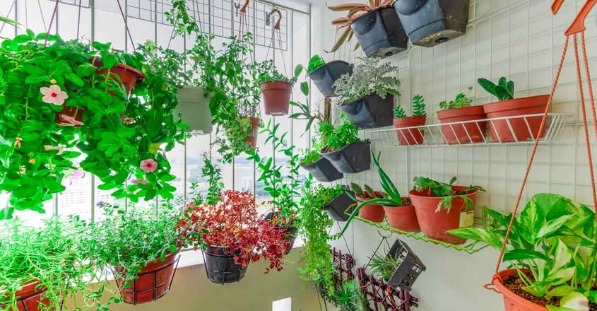 vertical-garden vertical-garden